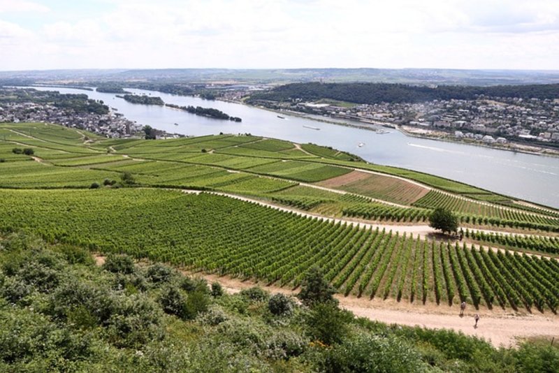 Rheingau